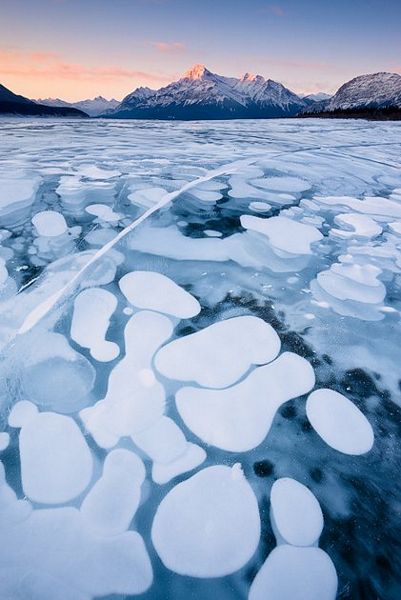 Đây là hồ Abraham, tọa lạc trên dãy núi Canadian Rockies ở phía tây bang Alberta, Canada.